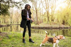 Dog Bites During Spring Walks